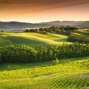 Meet your Posher, Lila